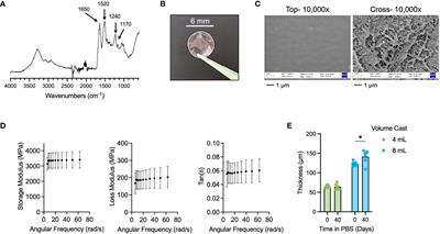 Inflammasome modulation with P2X7 inhibitor A438079-loaded dressings for diabetic wound healing